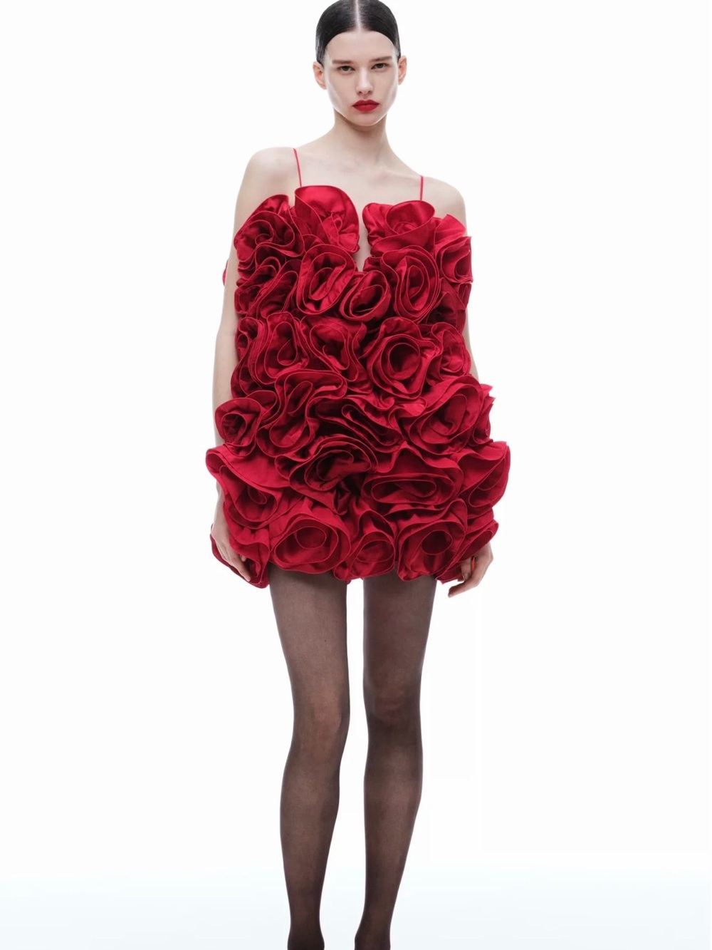 Magda Butrym/ H&M Rose dress w/tags